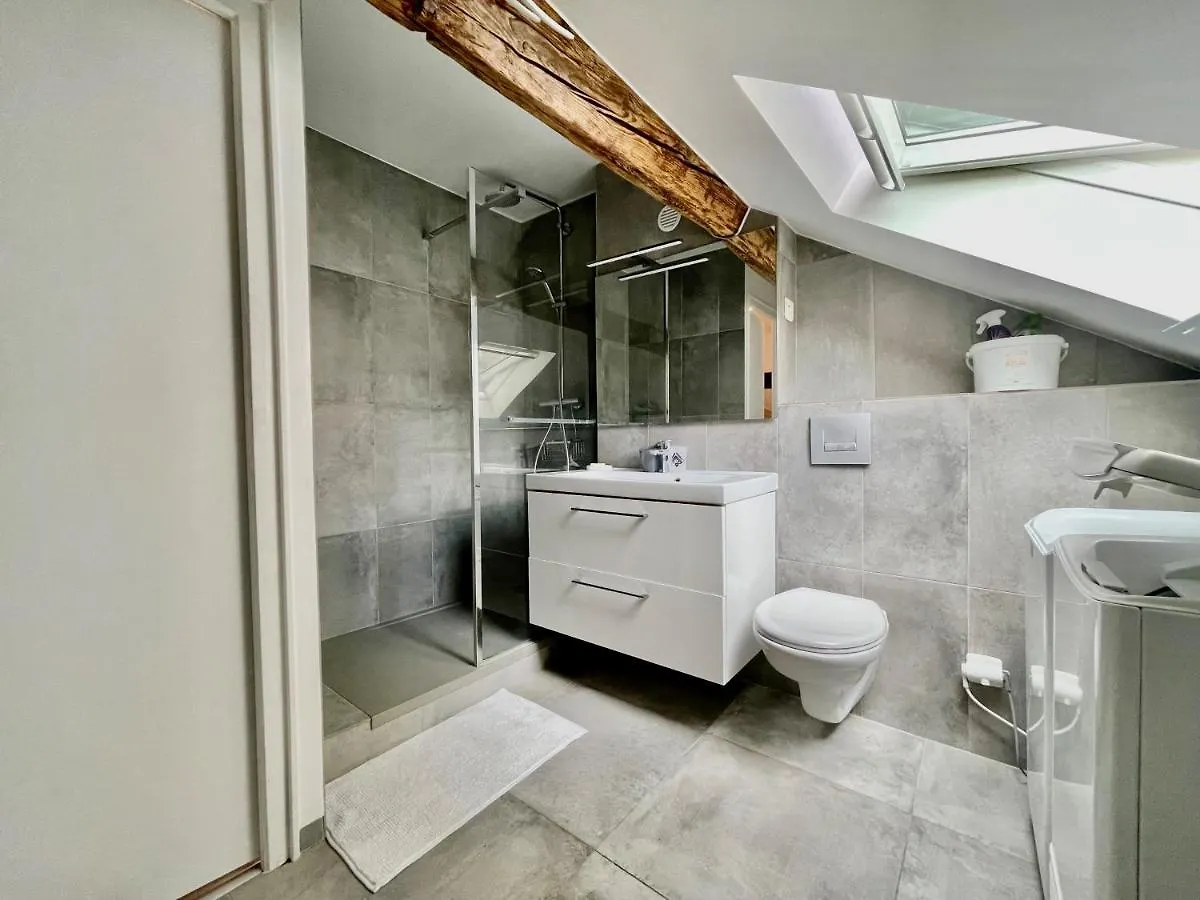 La Maison De Jade Apartment Gex